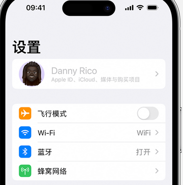 白水appleID维修服务iPhone设置中Apple ID显示为灰色无法使用 