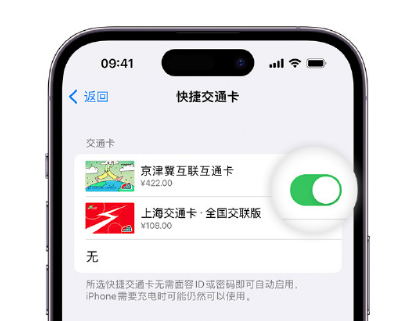 白水apple维修点分享iPhone上更换Apple Pay快捷交通卡手绘卡面 