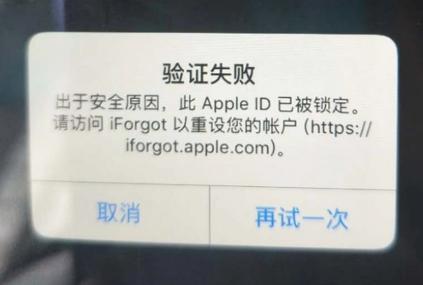 白水iPhone维修分享iPhone上正常登录或使用AppleID怎么办 