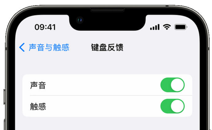 白水苹果手机维修分享iPhone 14触感键盘使用方法 