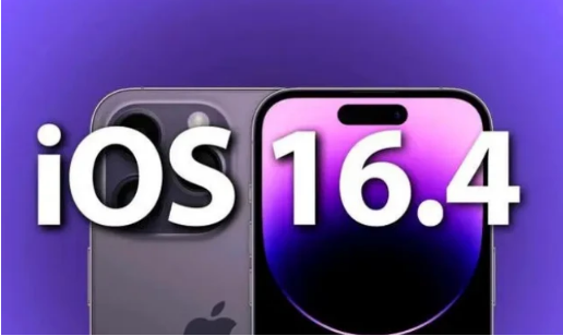 白水苹果14维修分享：iPhone14可以升级iOS16.4beta2吗？ 