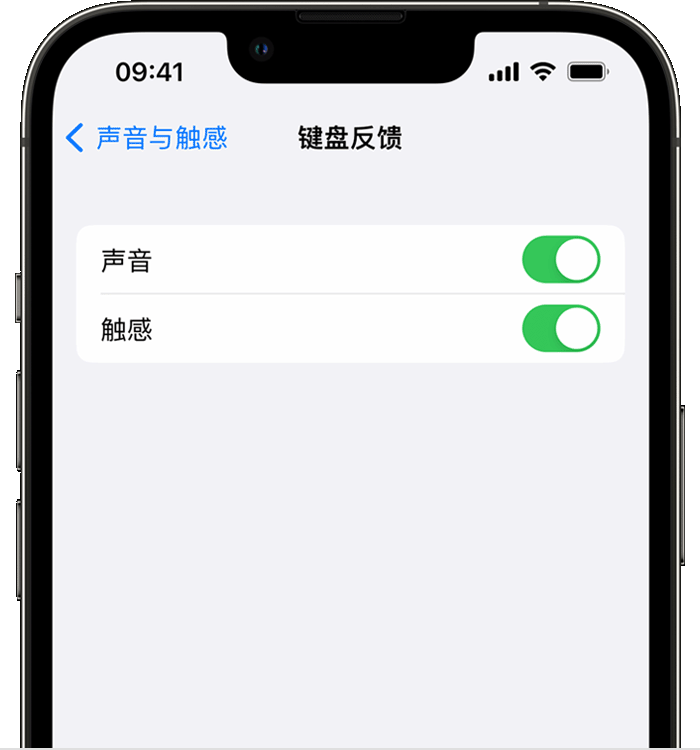 白水苹果14维修店分享如何在 iPhone 14 机型中使用触感键盘 