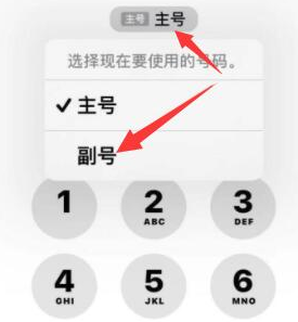 白水苹果14维修店分享iPhone 14 Pro Max使用副卡打电话的方法 