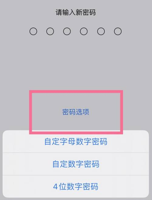 白水苹果14维修分享iPhone 14plus设置密码的方法 