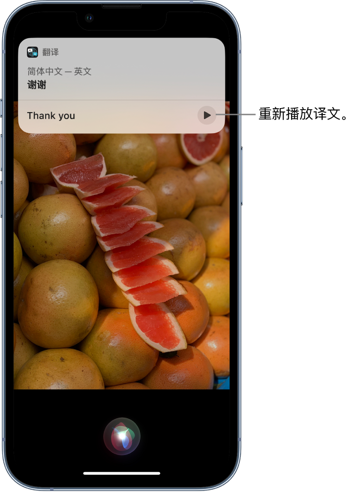 白水苹果14维修分享 iPhone 14 机型中使用 Siri：了解 Siri 能帮你做什么 