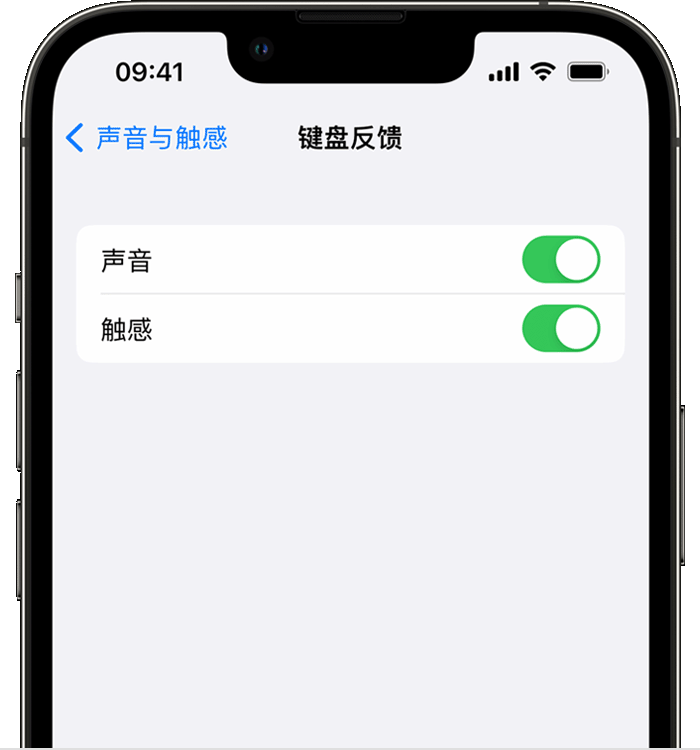 白水苹果14维修分享iPhone 14 系列机型如何开启键盘声音或触感反馈 