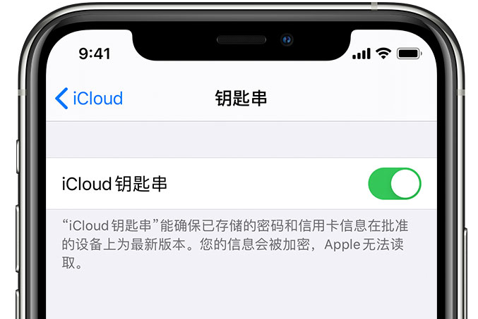 白水苹果手机维修分享在 iPhone 上开启 iCloud 钥匙串之后会储存哪些信息 