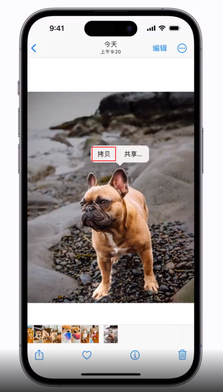 白水苹果手机维修分享 iOS 16 自带一键抠图功能 