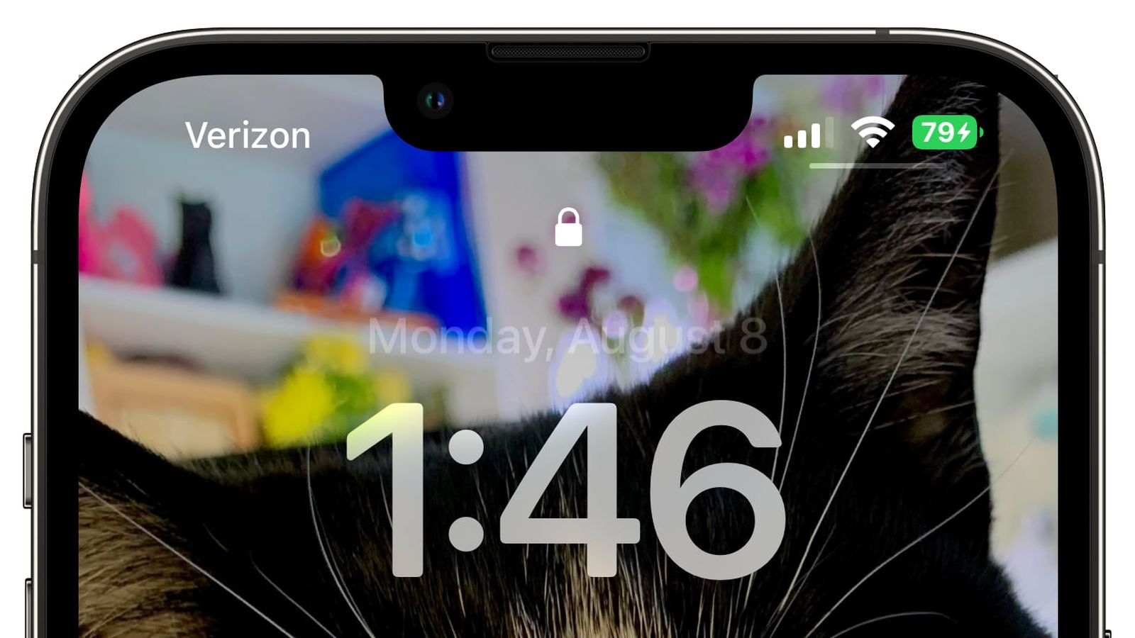 白水苹果手机维修分享iOS 16 beta 5 支持状态栏显示电池百分比，如何开启？支持哪些机型 