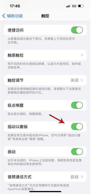 白水苹果手机维修分享iPhone手机如何设置摇一摇删除文字 