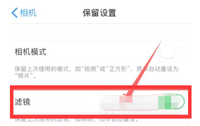 白水苹果13维修分享iPhone13拍照有绿点是怎么回事 