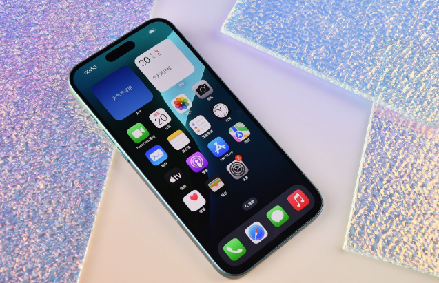 白水苹果手机维修分享为什么大家不喜欢苹果iPhone 16 Plus 