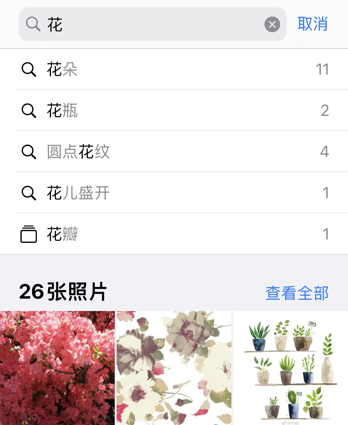 白水苹果手机维修分享iPhone 小技巧 