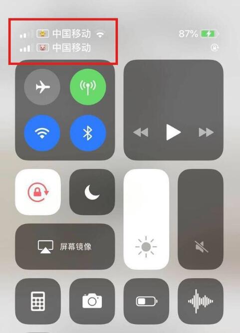 白水苹果手机维修分享为 iPhone 12 双卡设置标签 