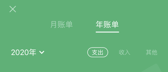白水苹果手机维修分享如何在 iPhone 上查看支付宝和微信年支出账单 